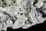 Anatase Crystals, Quartz and Adularia Association - Norway #111423-2